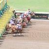 Boom St Leger Day 6-7-2013