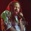 Bob Marley Concert 102