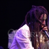 Bob Marley Concert 110