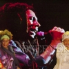 Bob Marley Concert 158