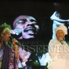 Bob Marley Concert 160
