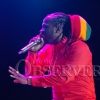 Bob Marley Concert 28