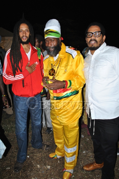 Bob Marley Concert 45