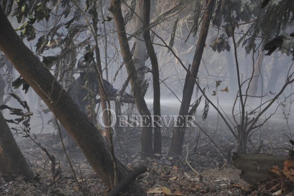 FIRE IN THE HILLS OF N.E. ST.ANDREW43