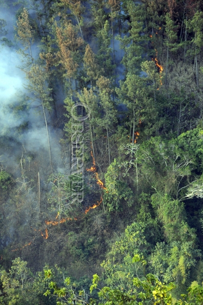 FIRE IN THE HILLS OF N.E. ST.ANDREW45