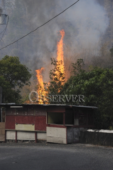 FIRE IN THE HILLS OF N.E. ST.ANDREW47