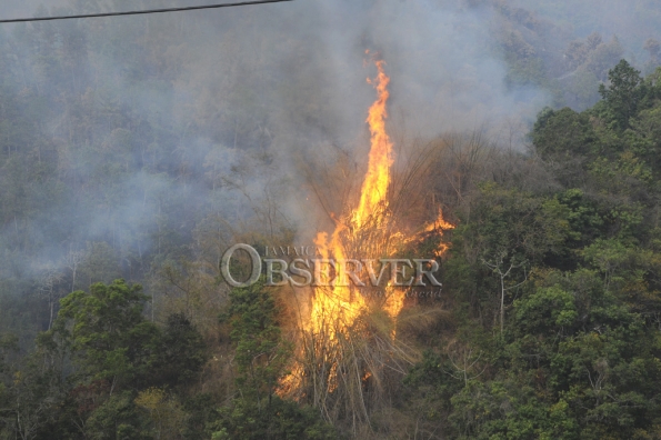 FIRE IN THE HILLS OF N.E. ST.ANDREW48