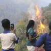 FIRE IN THE HILLS OF N.E. ST.ANDREW49
