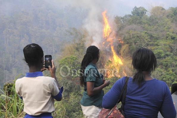 FIRE IN THE HILLS OF N.E. ST.ANDREW49