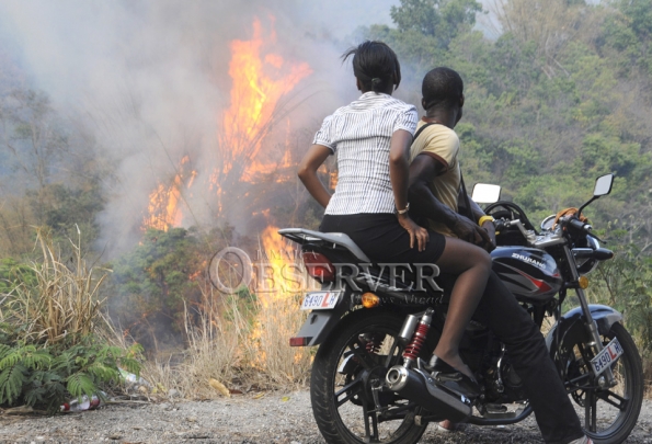FIRE IN THE HILLS OF N.E. ST.ANDREW50
