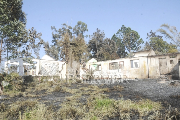 FIRE IN THE HILLS OF ST.ANDREW1