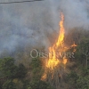 FIRE IN THE HILLS OF N.E. ST.ANDREW48