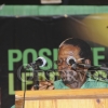 JLP Area 1 Conference165