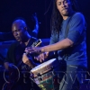 Jamaica Jazz and Blues 2013 Nights 2 & 3-010