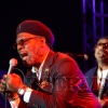 Jamaica Jazz and Blues 2013137