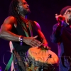 Jamaica Jazz and Blues 2013143