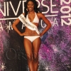 Miss-Universe-Jamaica147