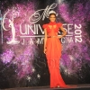Miss-Universe-Jamaica540