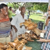 Trench Town Trade and Investment Fair168