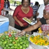 Trench Town Trade and Investment Fair243
