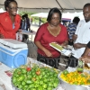 Trench Town Trade and Investment Fair245